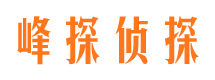 惠阳市私家侦探